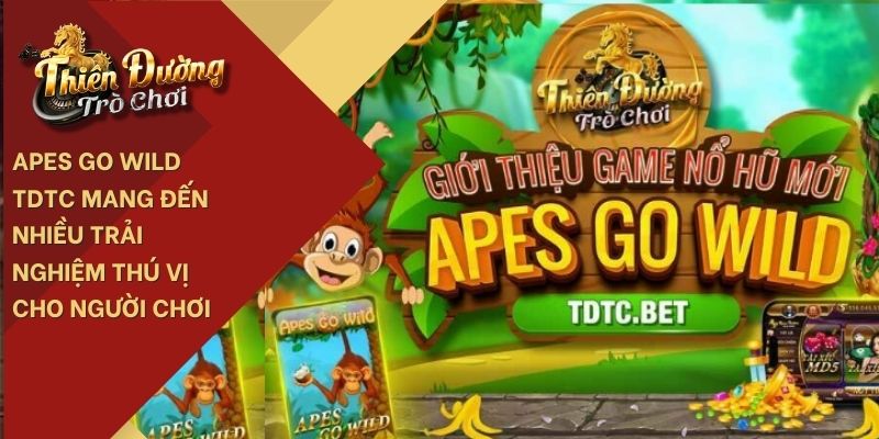 Apes Go Wild TDTC mang đến nhiều trải nghiệm thú vị cho người chơi